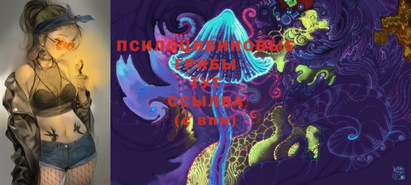 дурь Горняк