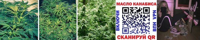 дарк нет наркотические препараты  Пересвет  Дистиллят ТГК THC oil 